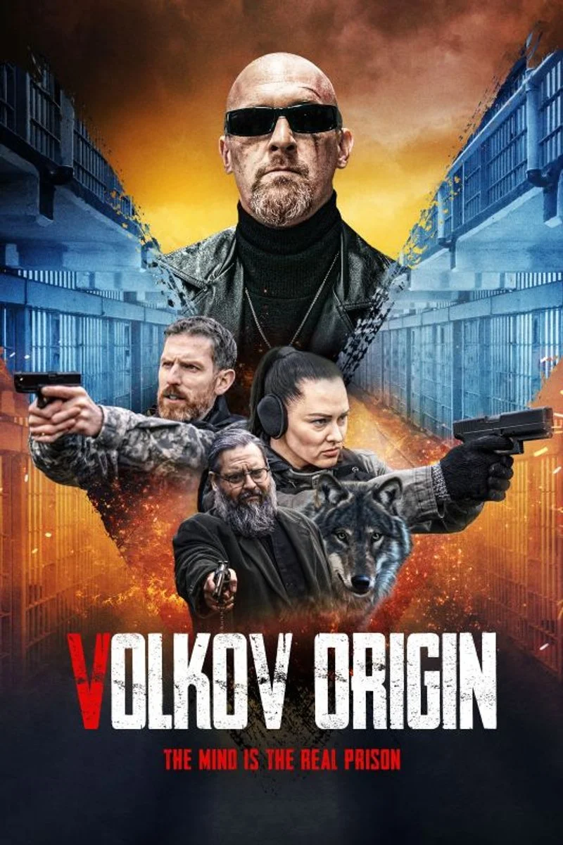 Affiche de Volkov Origin