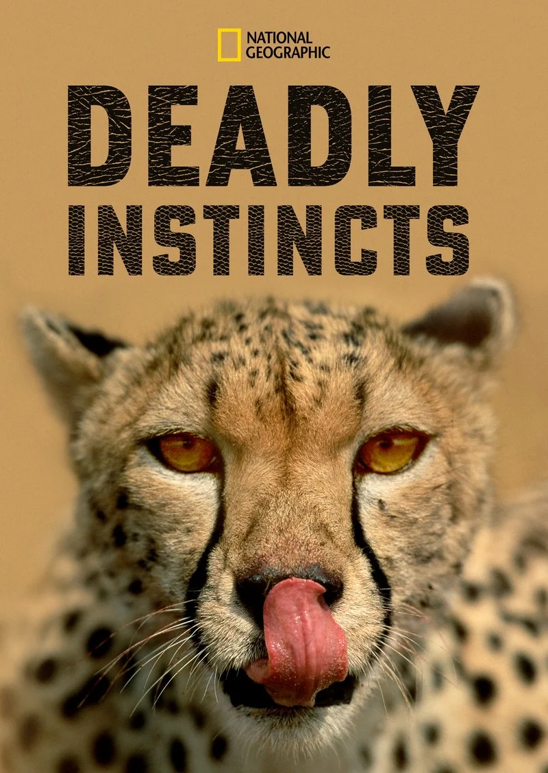 Poster van Deadly Instincts