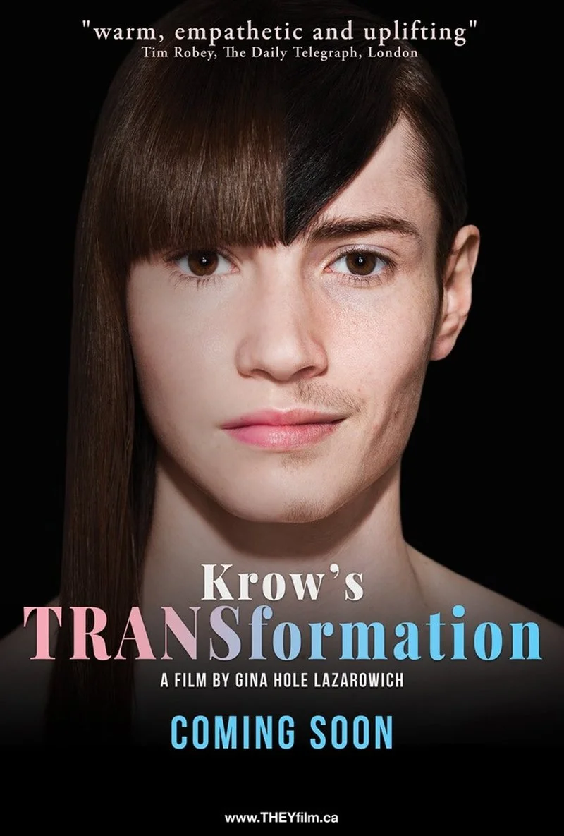 Affiche de Krow's TRANSformation