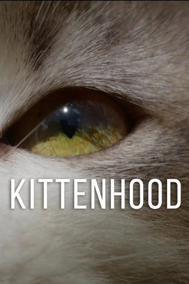 Poster van Kittenhood