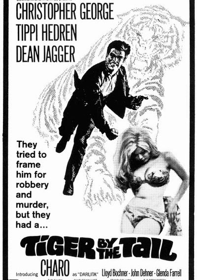 Poster Tiger by the Tail