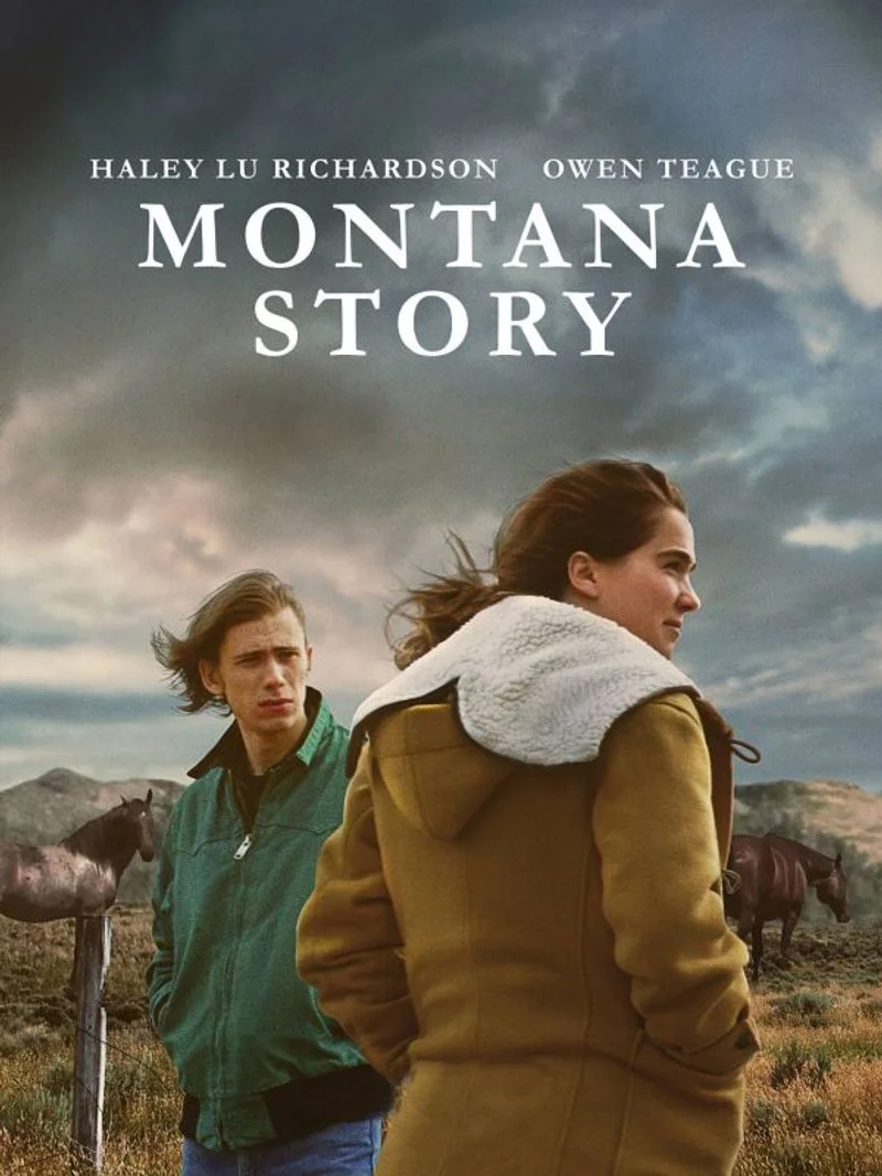 Affiche de Montana Story