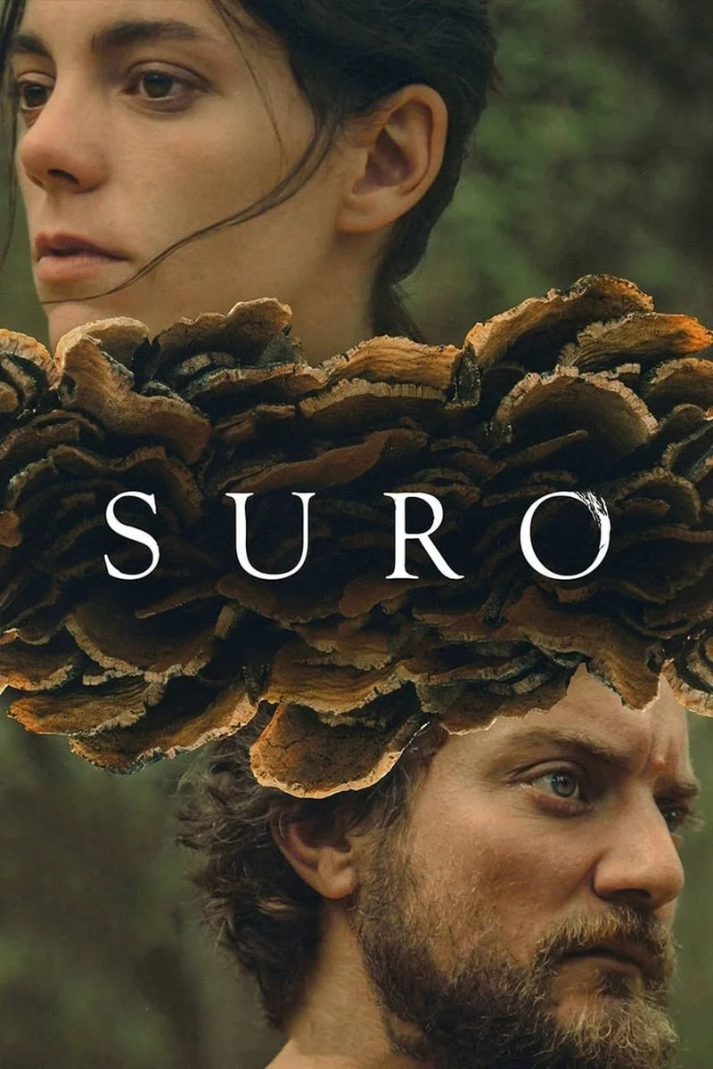 Poster van Suro