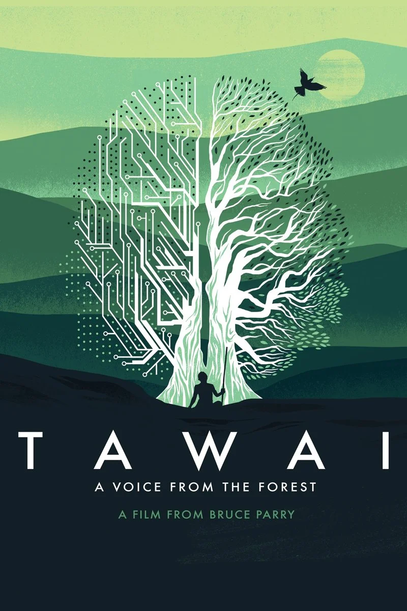 Affiche de Tawai: A Voice from the Forest