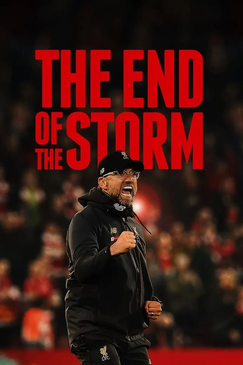 Affiche de The End of the Storm
