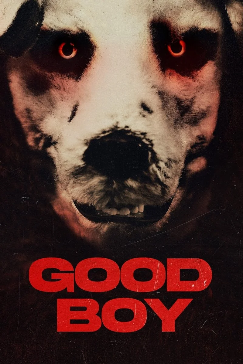 Poster van Good Boy