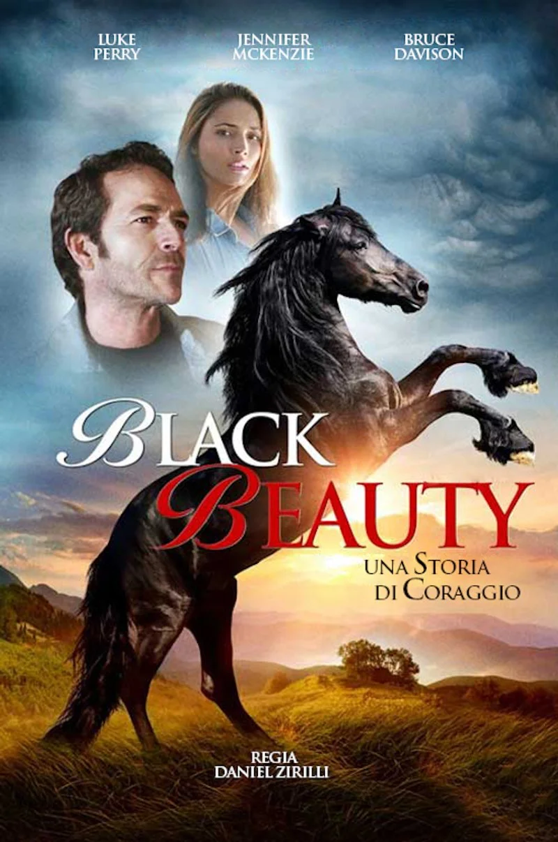Affiche de Prince Noir