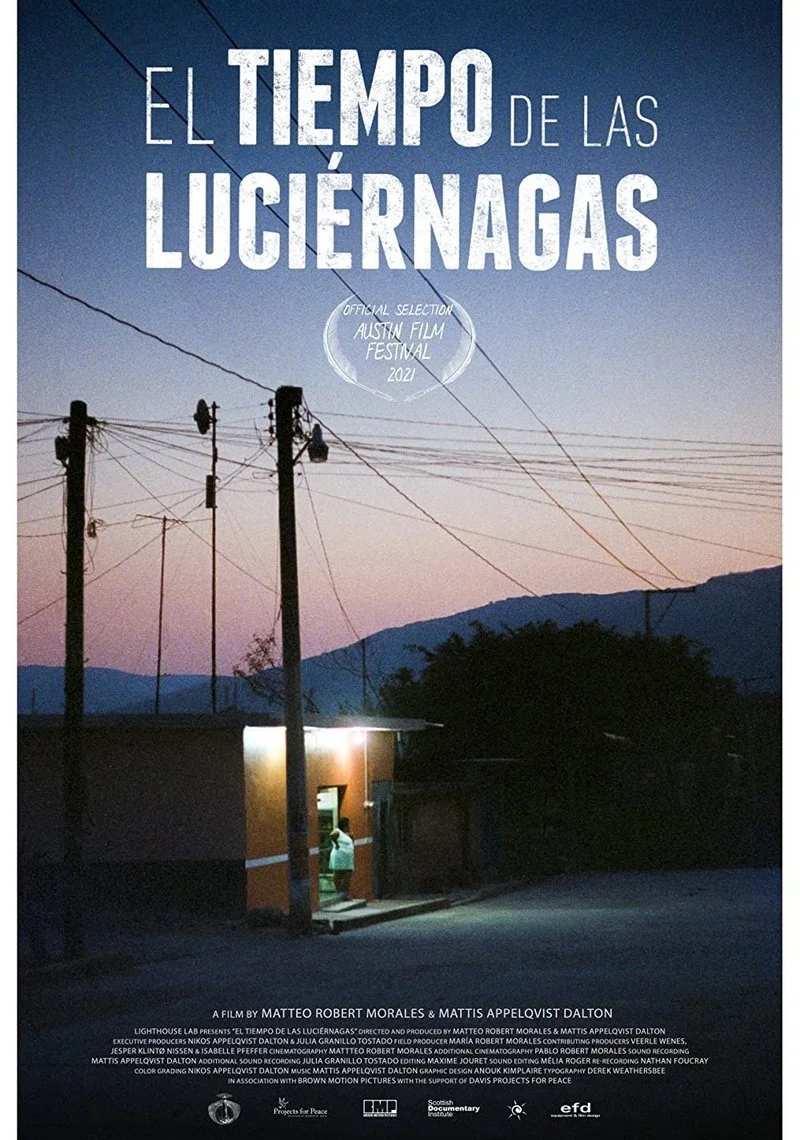 Affiche de The Time of the Fireflies