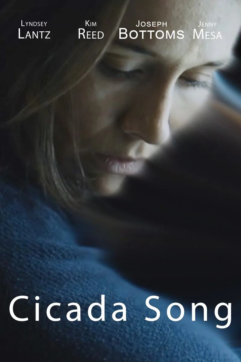 Affiche de Cicada Song