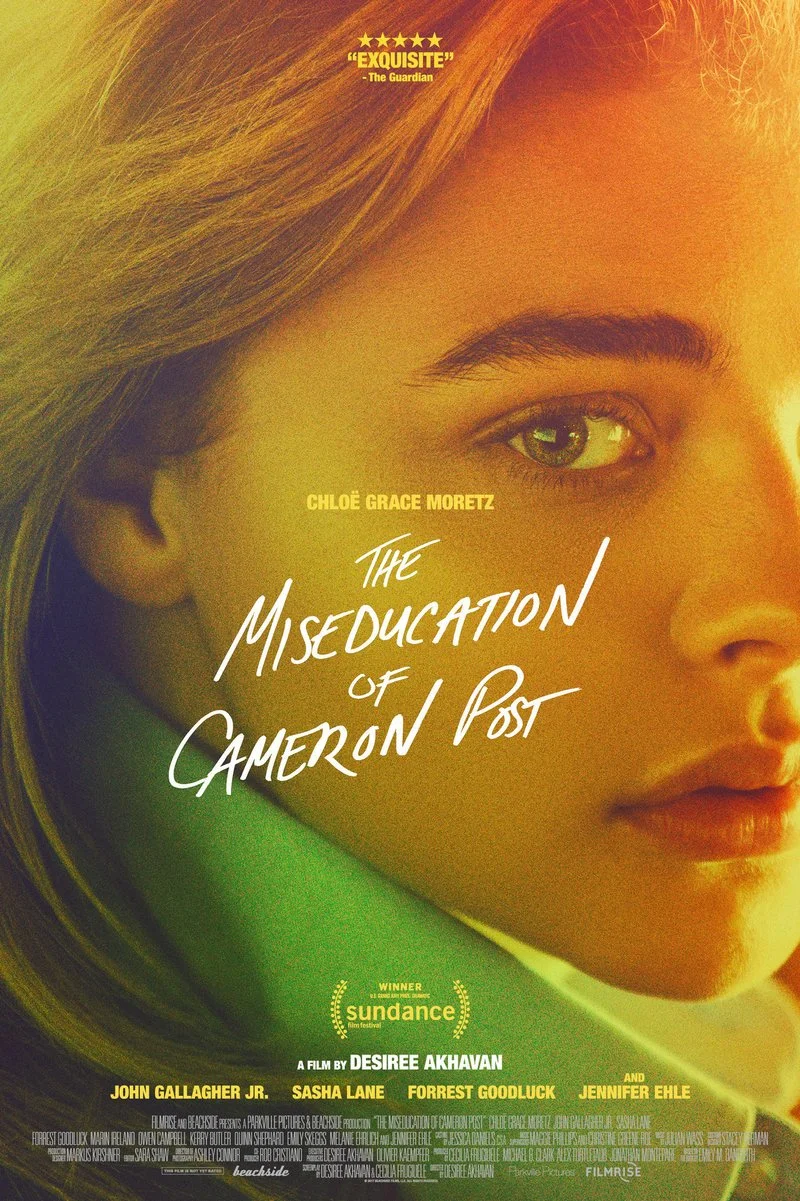 Poster van The Miseducation of Cameron Post