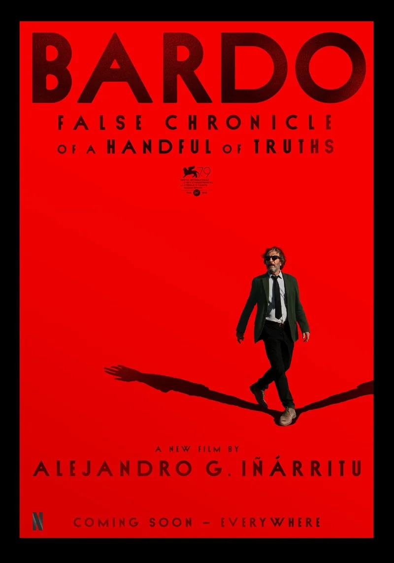 Affiche de BARDO, Fausse Chronique de Quelques Vérités