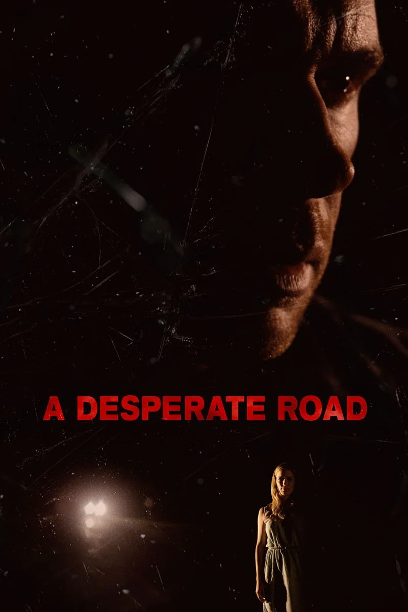 Affiche de A Desperate Road