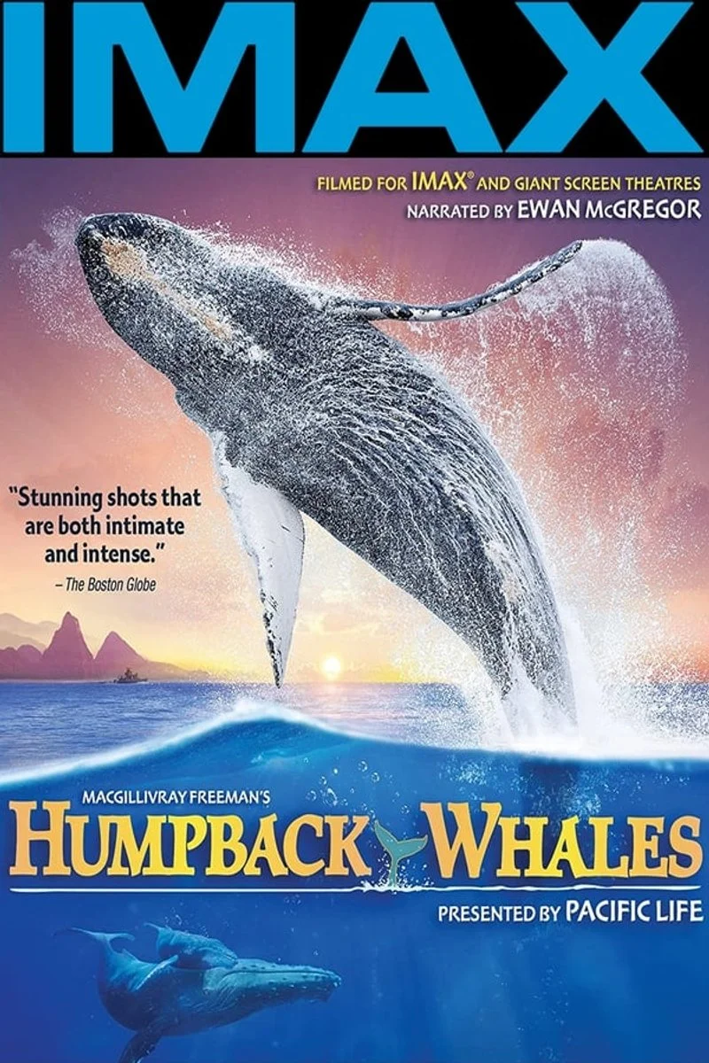 Affiche de Humpback Whales
