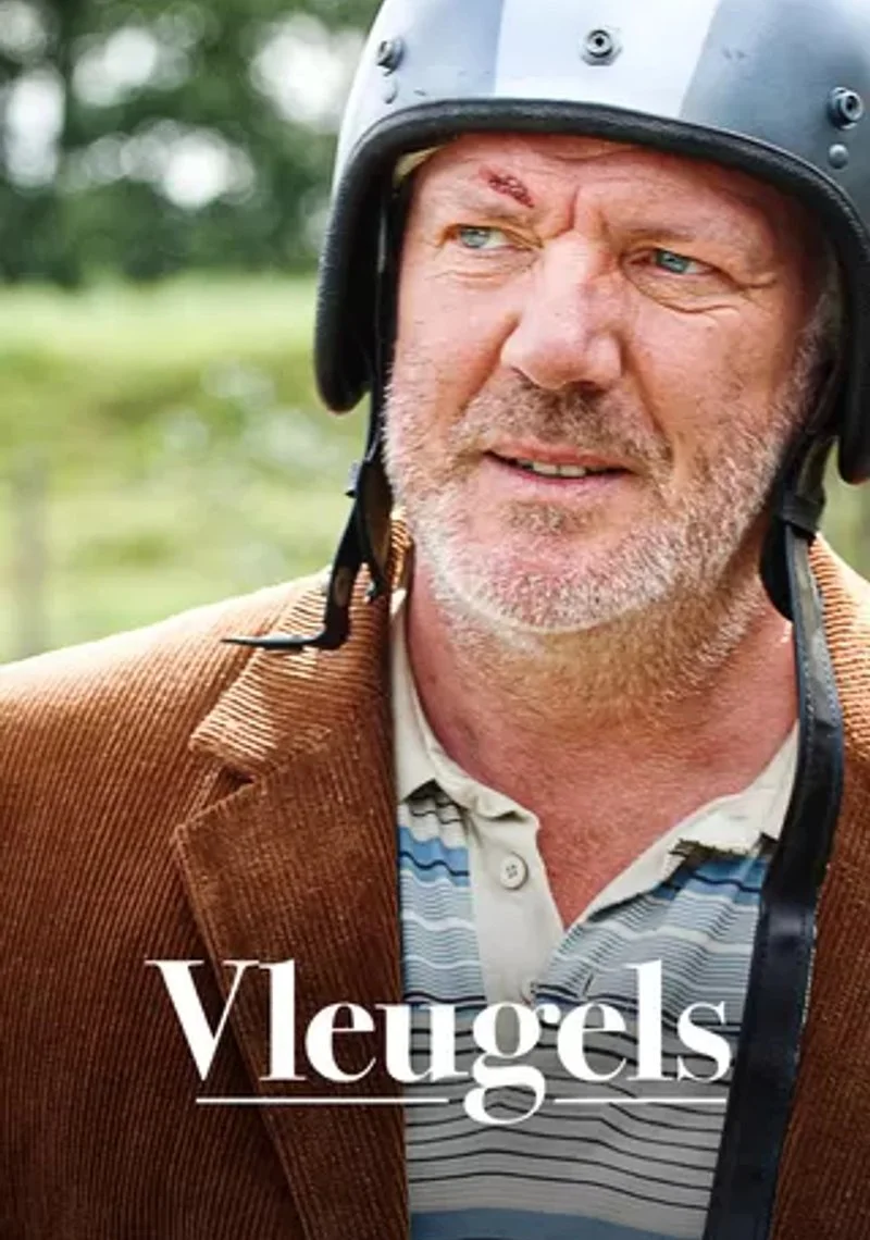 Affiche de Vleugels
