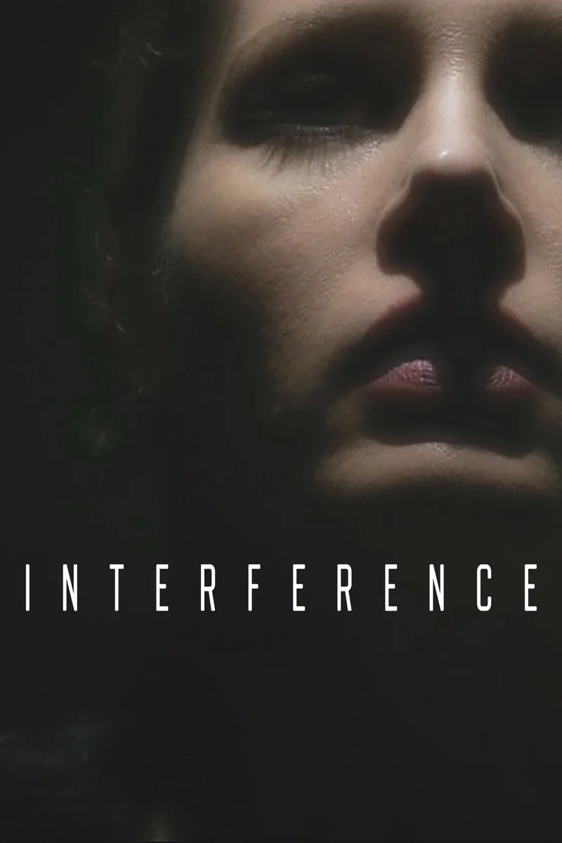 Affiche de Interference