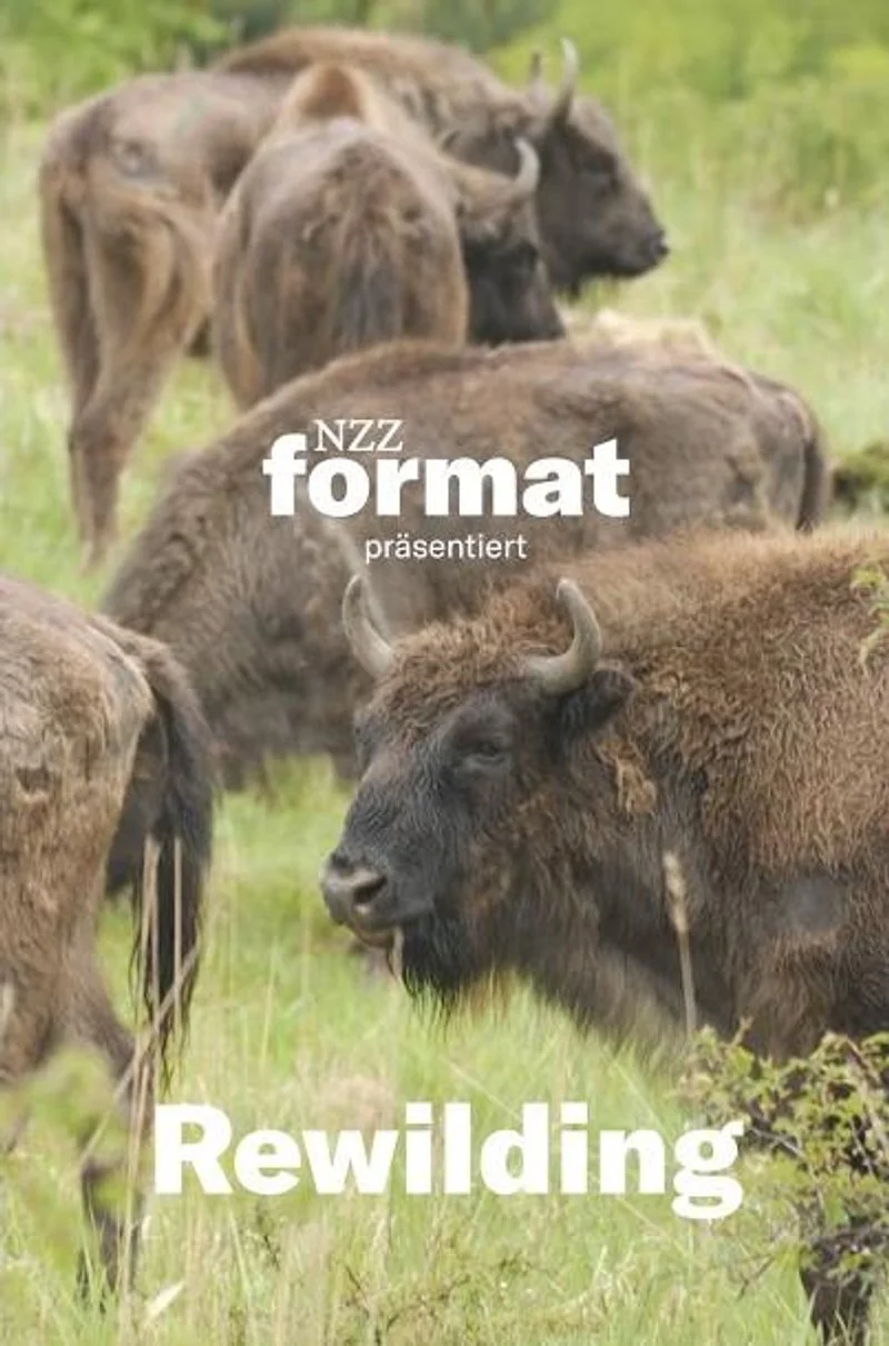 Affiche de Rewilding: Back to Nature