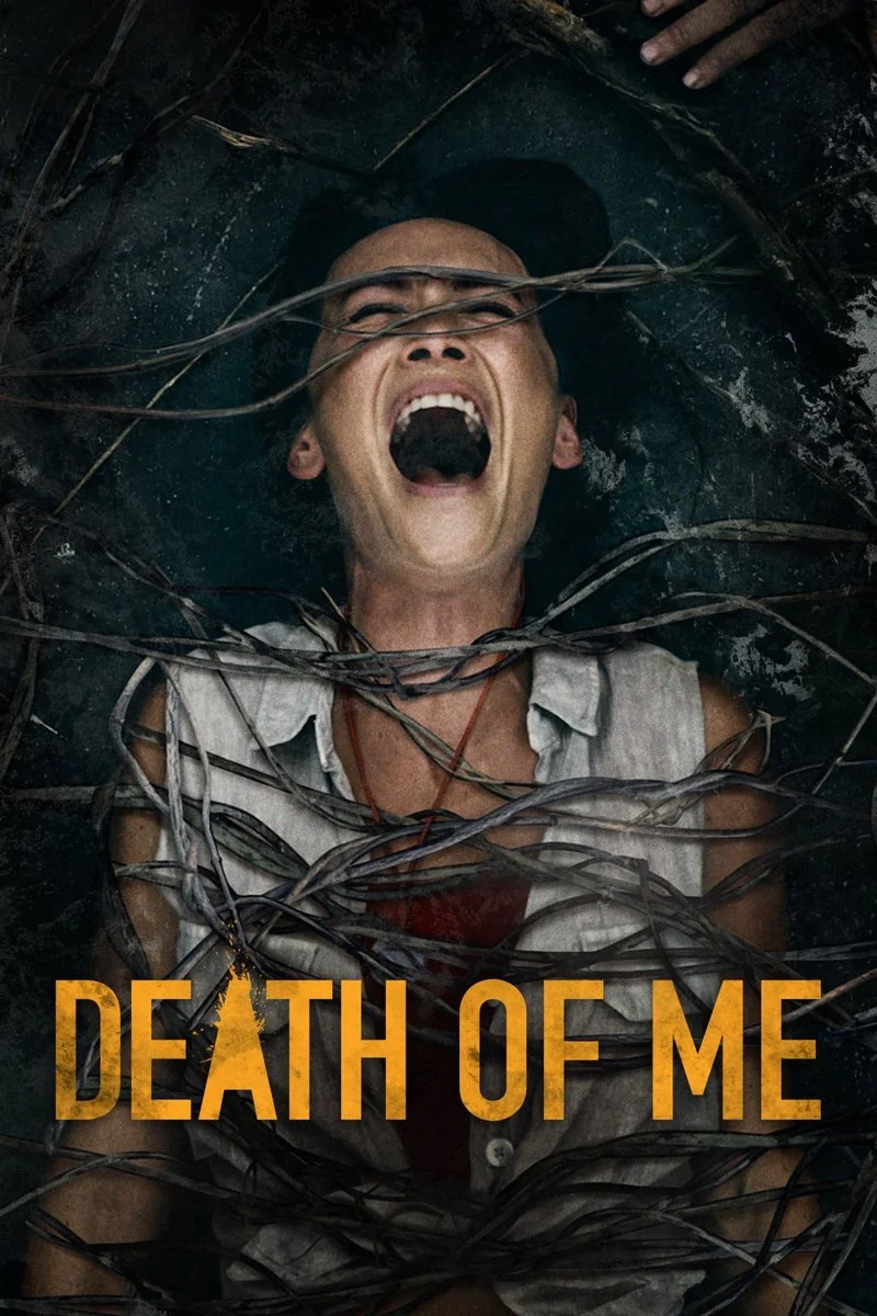 Affiche de Death of Me