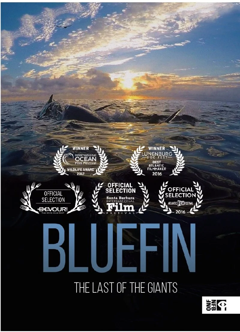 Poster van Bluefin