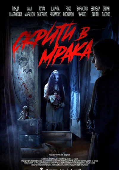 Affiche Hidden in the Dark