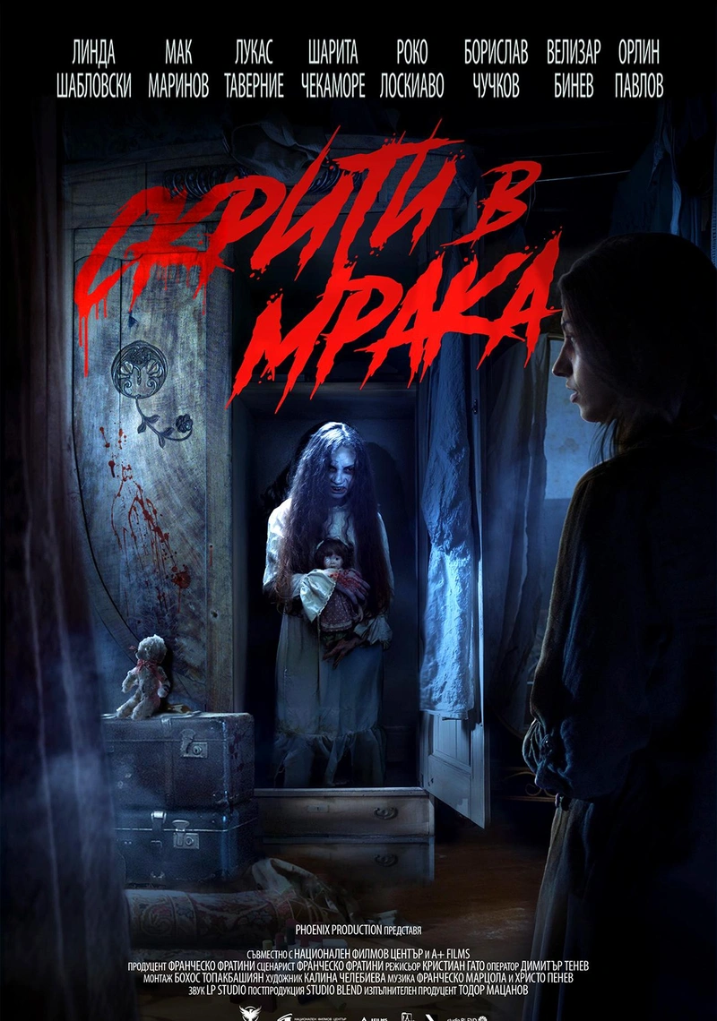 Poster van Hidden in the Dark
