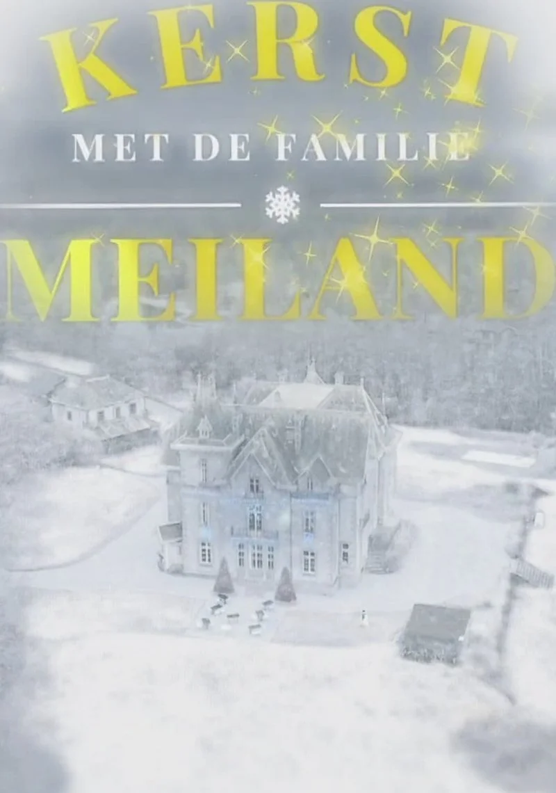 Poster van Kerst met de familie Meiland