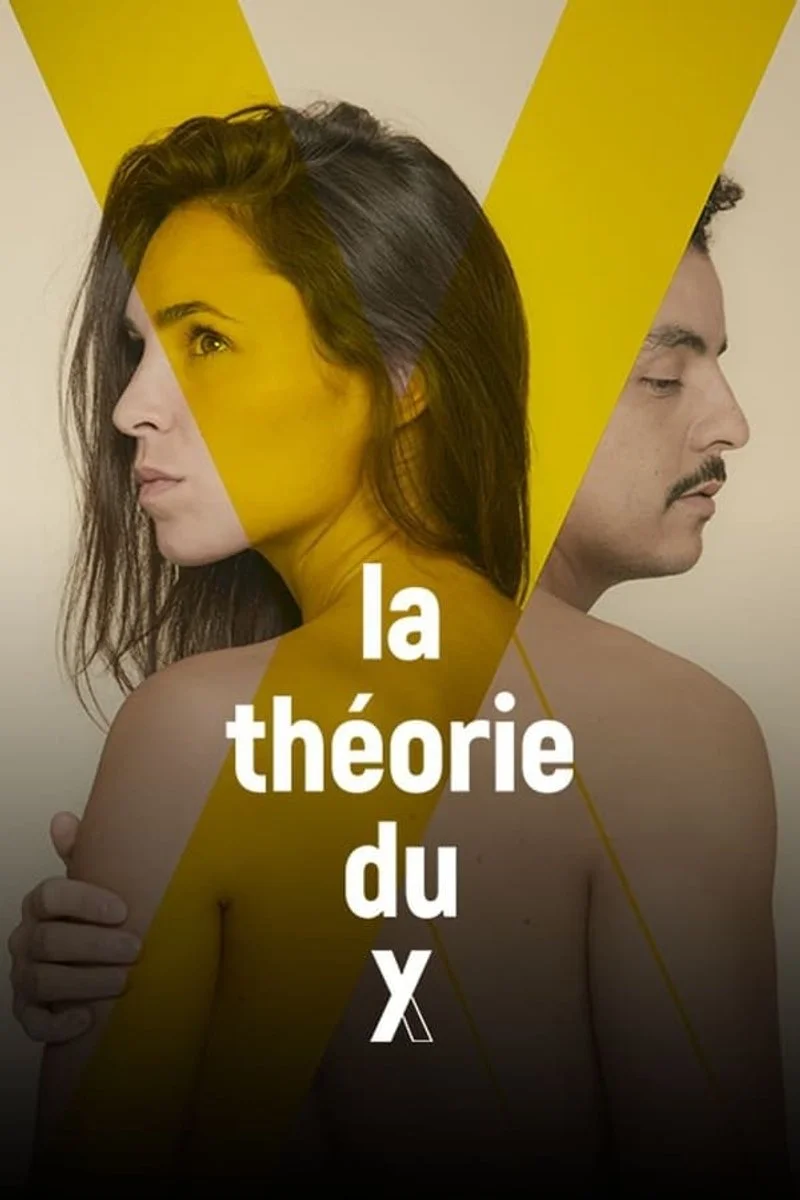 Affiche de The Theory of Y
