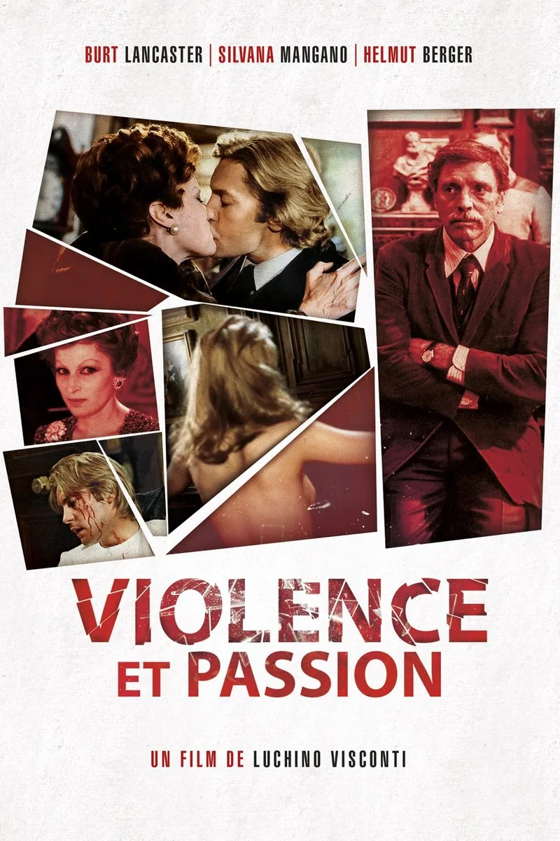 Affiche de Violence et passion