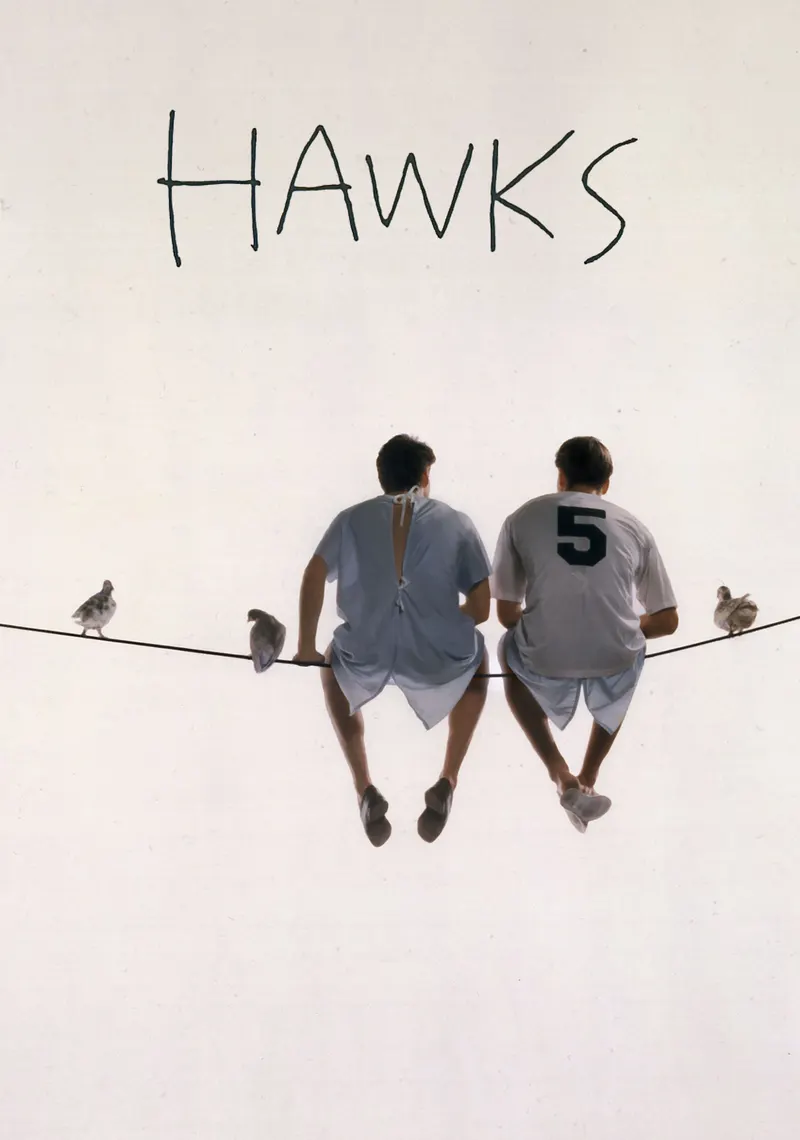 Affiche de Hawks
