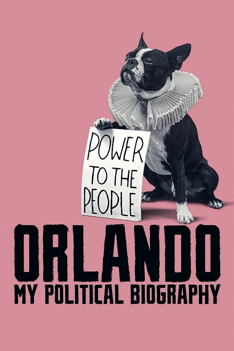 Affiche de Orlando, My Political Biography