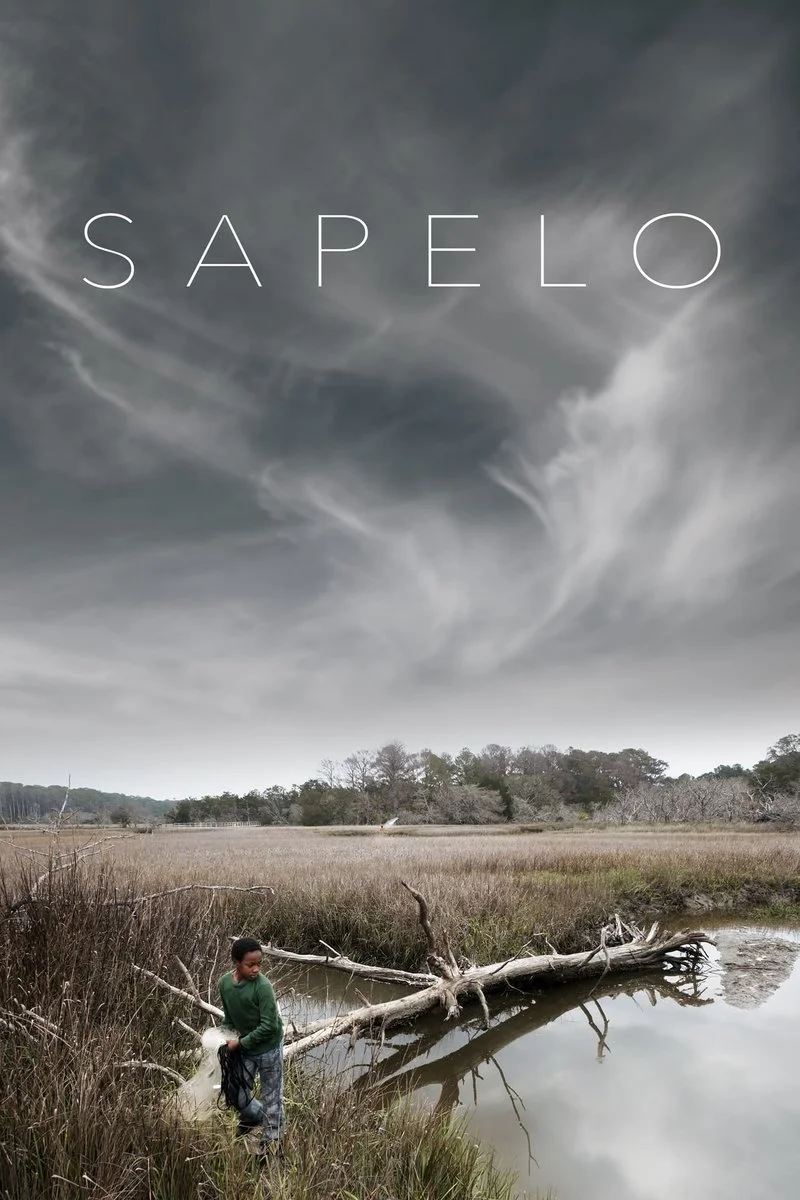 Affiche de Sapelo
