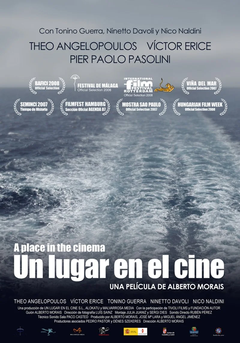 Poster van A Place in the Cinema
