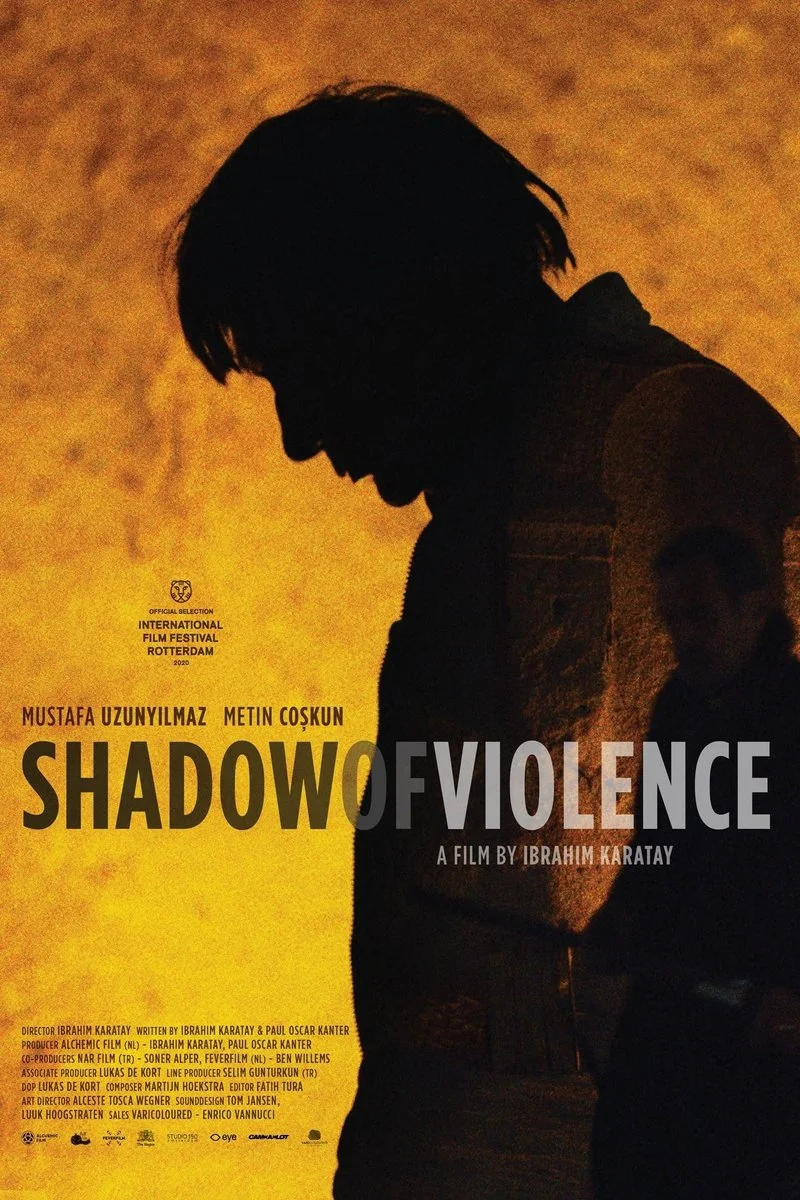 Affiche de Shadow of Violence