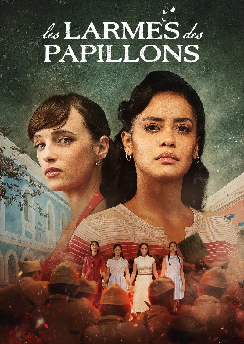 Affiche de Les larmes des papillons