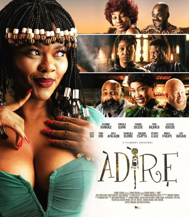 Affiche de Adire