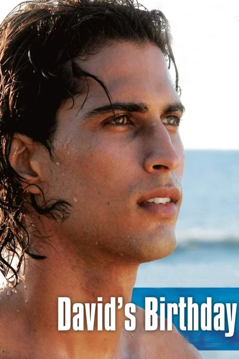 Affiche de L'anniversaire de David