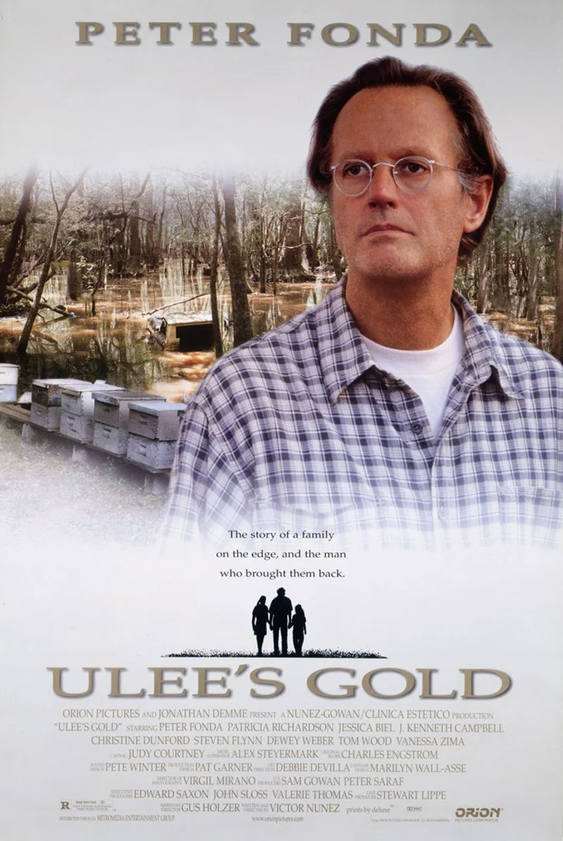 Affiche de L'or de la vie