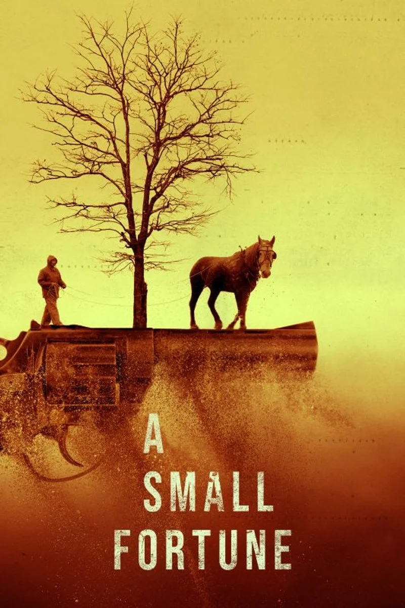 Affiche de A Small Fortune