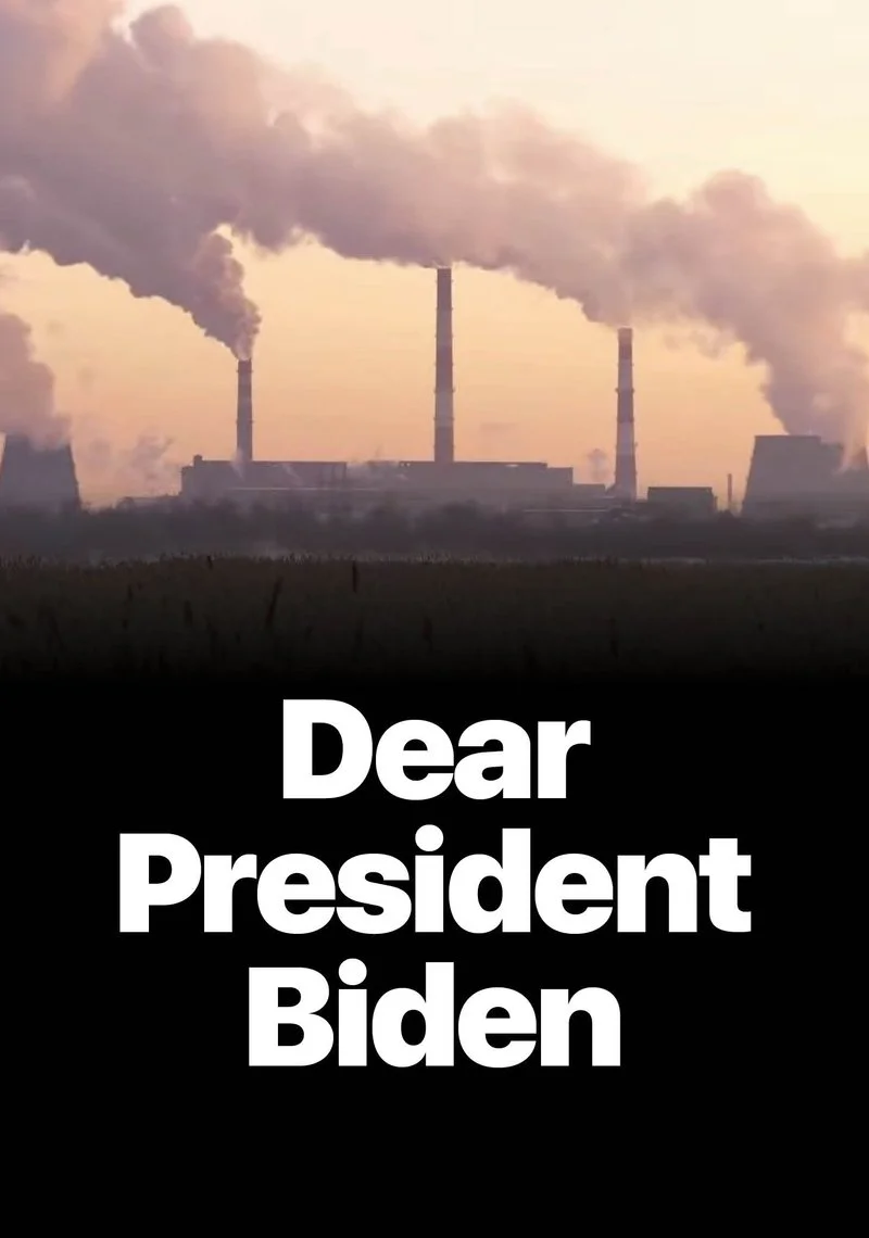 Affiche de Dear President Biden