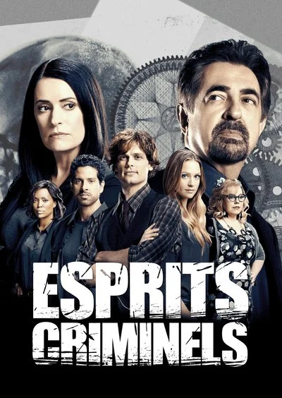Affiche Esprits criminels