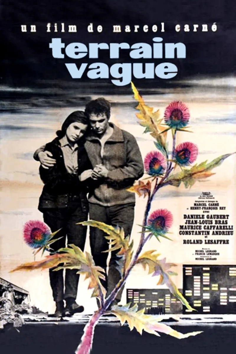 Affiche de Terrain vague