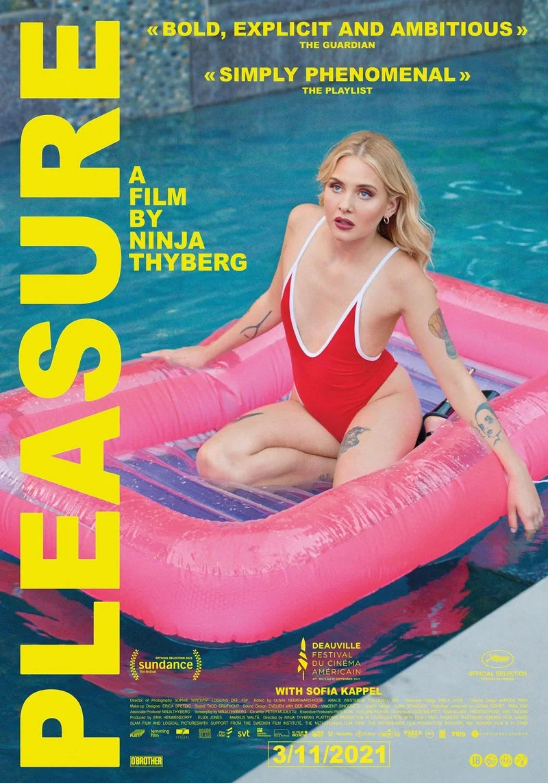 Poster van PLEASURE