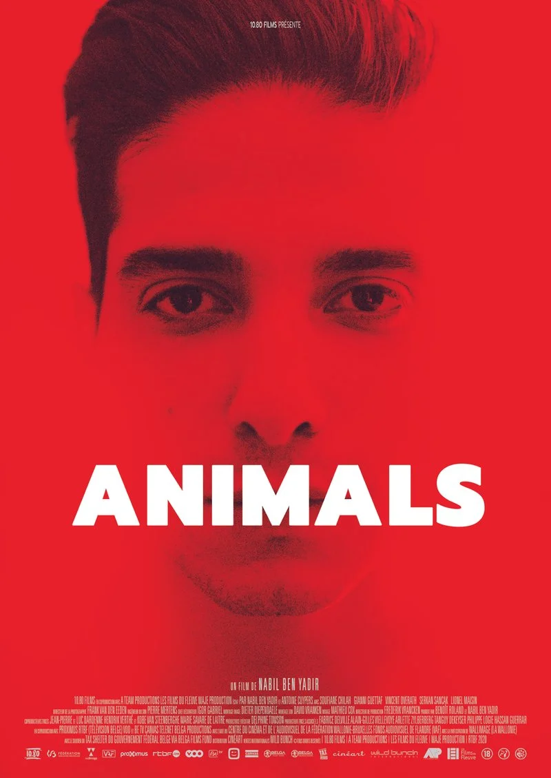 Affiche de Animals