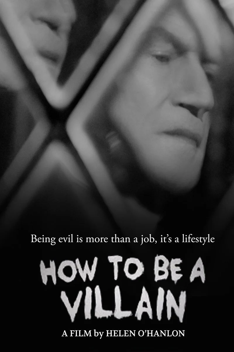 Affiche de How To Be a Villain