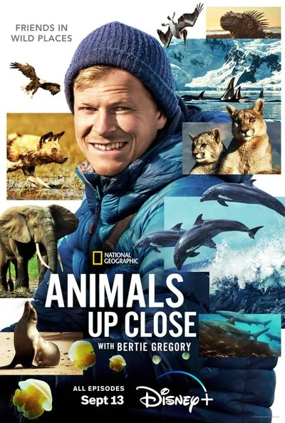 Poster Animals Up Close with Bertie Gregory