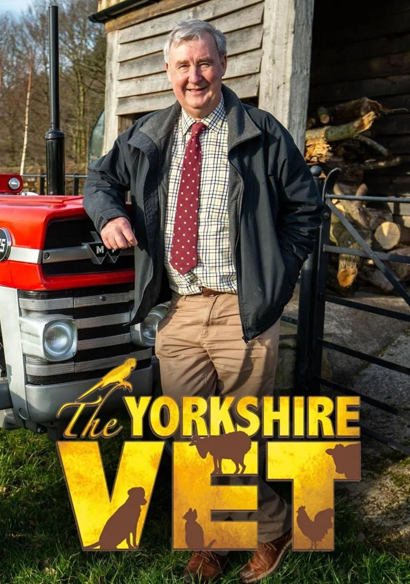 Poster van The Yorkshire Vet