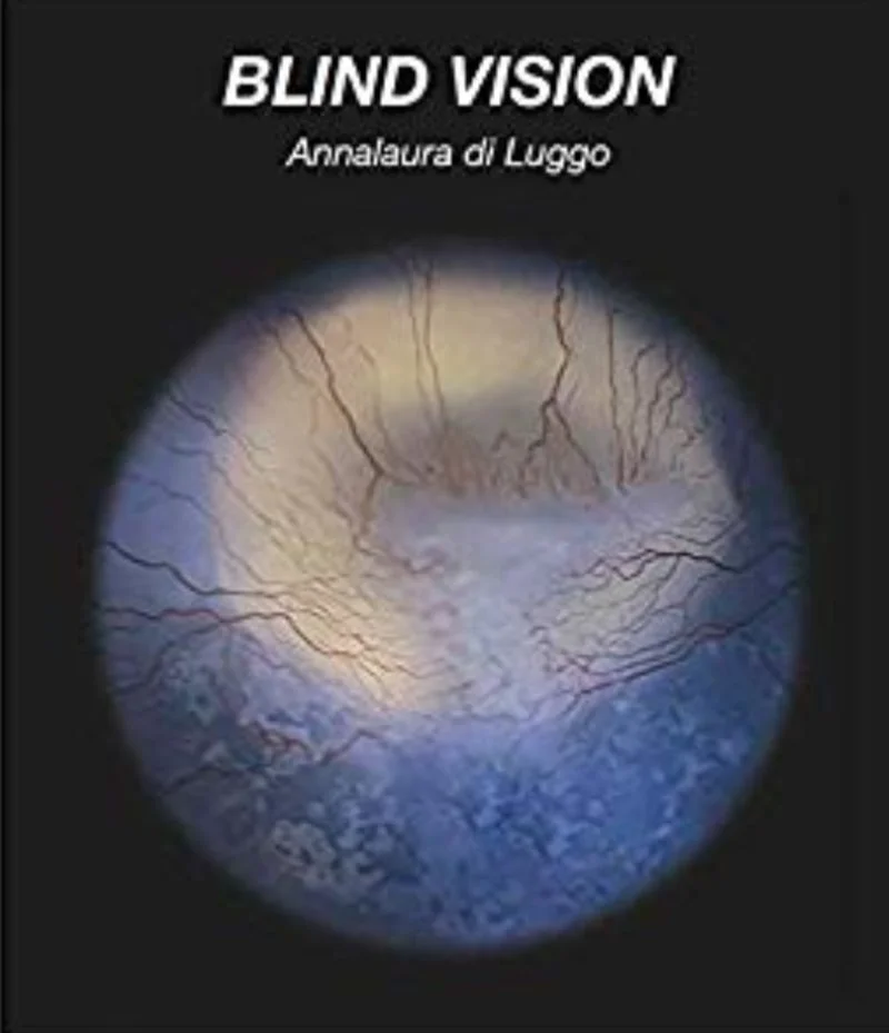Poster van Blind Vision