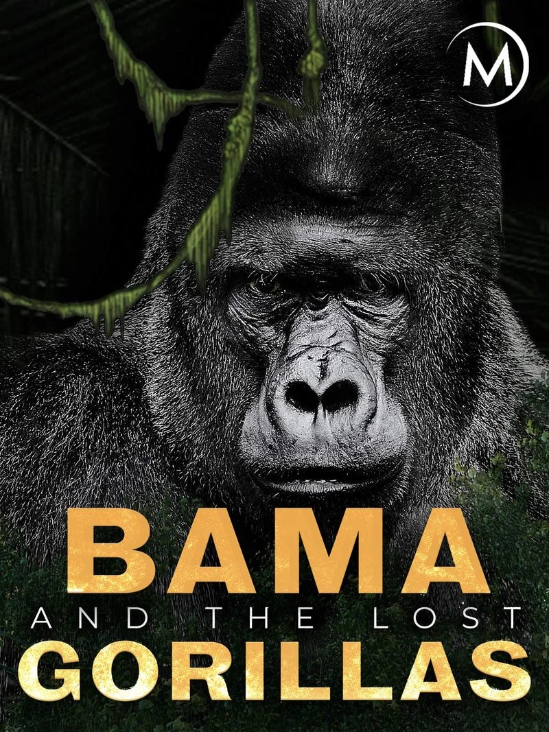 Poster van Bama and the Lost Gorillas