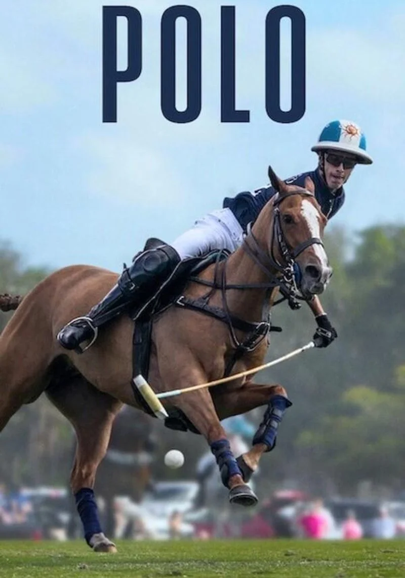 Affiche de Polo