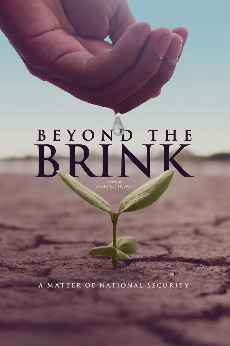 Poster van Beyond the Brink