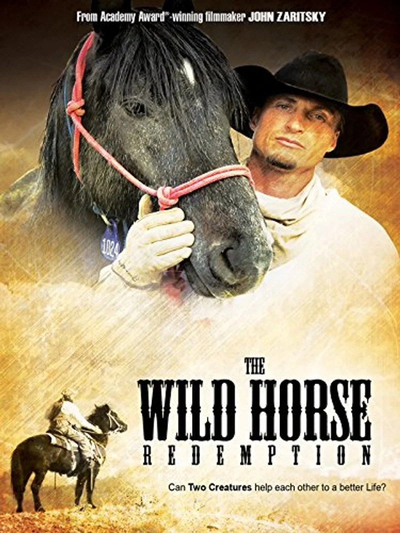 Affiche de Les chevaux de la seconde chance